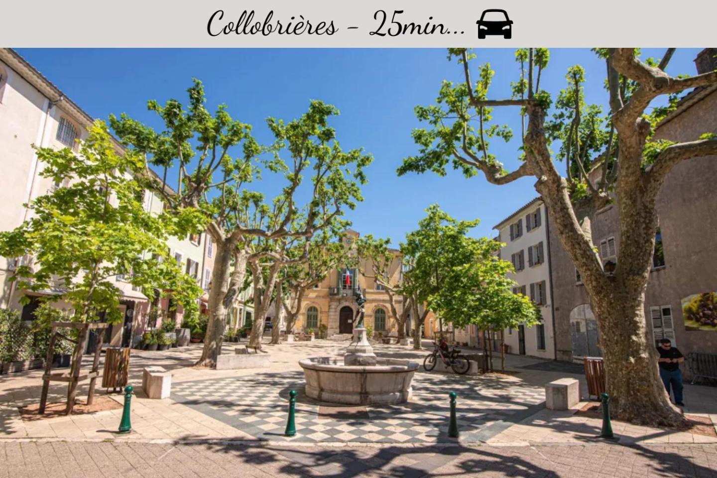 Netflix - Lit Queen Size - Terrasse Plein Sud - Climatisation - 2'Centre-Ville - 6'Mer - Parking Prive - 56M2 - L'Olivine - Offre Speciale La Londe-les-Maures Ngoại thất bức ảnh